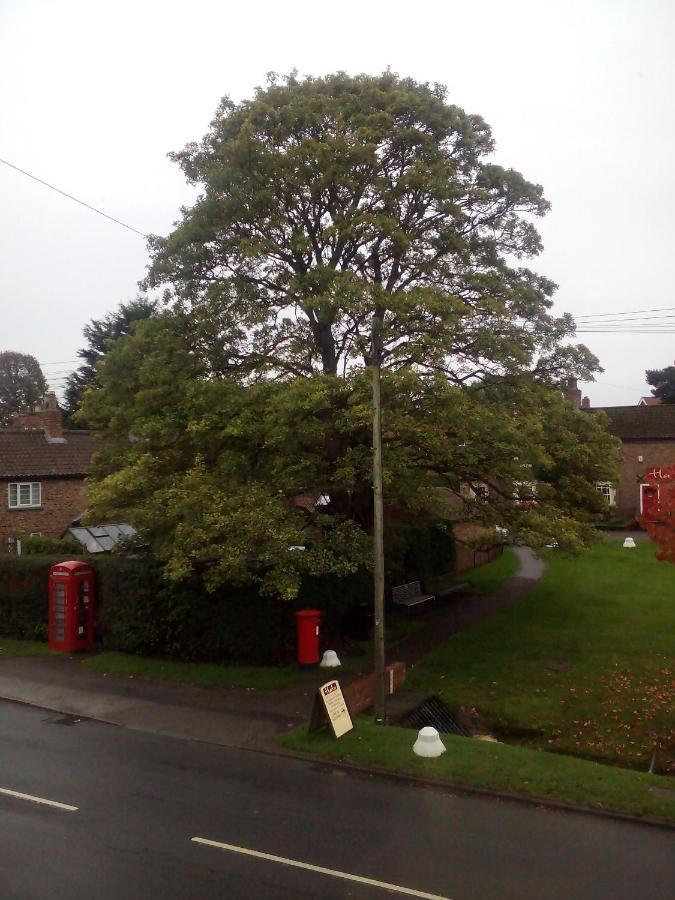 The Grey Horse Hotel Elvington ภายนอก รูปภาพ